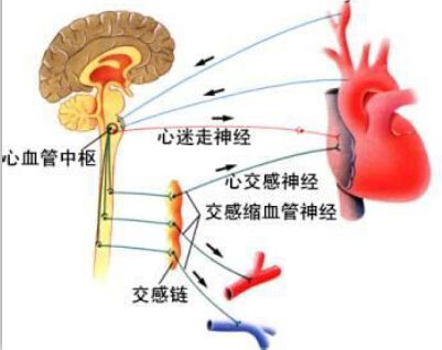 糖尿病病因与颈椎病的关系